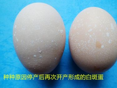 微信图片_20230623102245