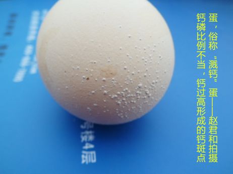 微信图片_20230623102358