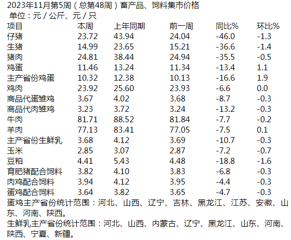 图片4